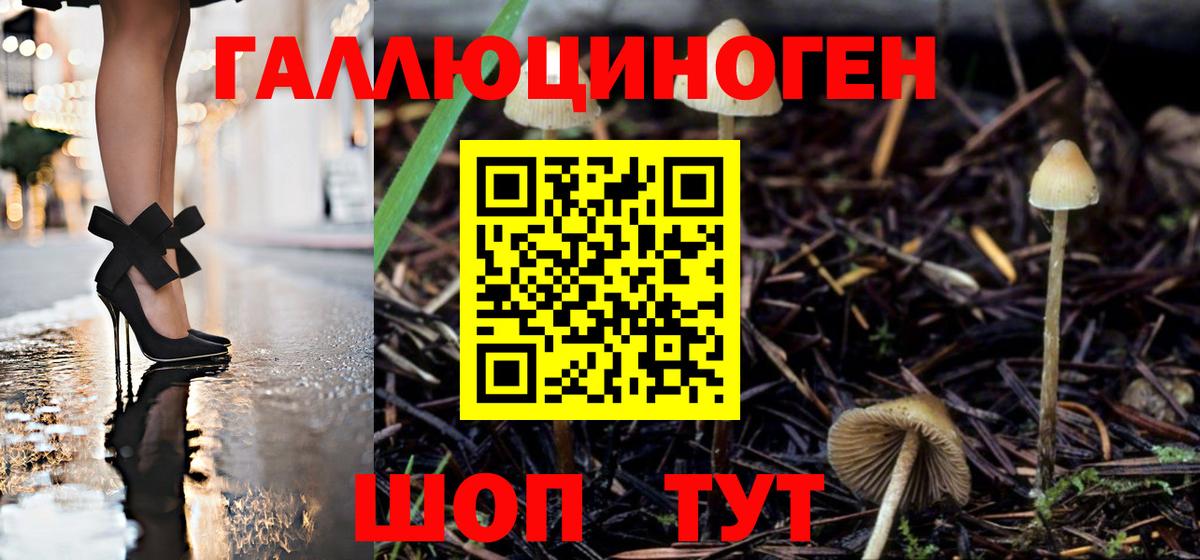 Псилоцибиновые грибы Psilocybine cubensis  Вход с VPN  Старая Купавна 